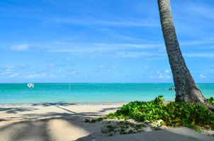 Grand Oca Maragogi Beach & Leisure Resort