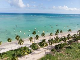 Férias de janeiro em Maceió 