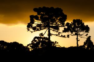 Páscoa em Itá com a Alimentação!!!