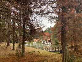 Campos do Jordão  -                          5 VAGAS DISPONÍVEIS