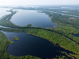 Manaus - Conheça a Amazônia 