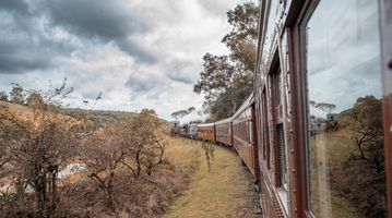 NATAL LUZ EM GRAMADO - NOVEMBRO 2026