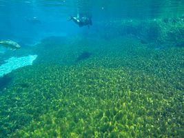 Bonito Especial Zagaia Eco Resort