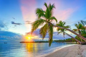 Punta Cana Pacote Completo Voo Direto All Inclusive