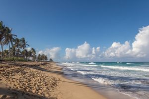 PUNTA CANA - ALL INCLUSIVE