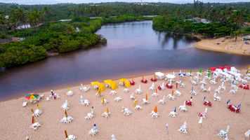 LUXO E ALTA GASTRONOMIA BAHIA